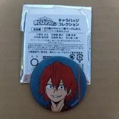 2026年最新】切島鋭児郎 缶バッジの人気アイテム - メルカリ