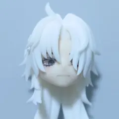 ねんどろいどどーる カスタムヘッド かすたむフェイス カスタム済