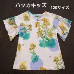 菜の花柄　袖フリル　Tシャツのサムネイル