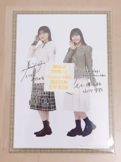 Item thumbnail for item 070a182b-7a2a-46c3-a0b8-68347af09303