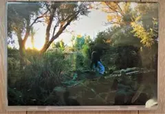 【動作確認済】カヒミ・カリィ DVD『KOCHAB』ロシャス コラボ作品