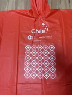 大阪・関西万博　Chile ノベルティセット 2025年最新】チリパビリオンの人気アイテム - メルカリ
