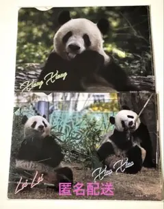 2025年最新】シャンシャン クリアファイル 松坂屋の人気アイテム