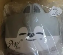 Stray Kids スキズ バンチャン お弁当 ミニBOX ボックス