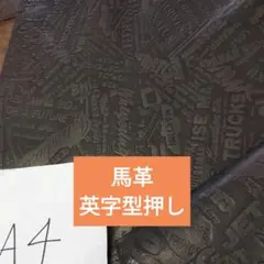 Item thumbnail for item a7e65435-a450-48e5-9afa-931534350df5