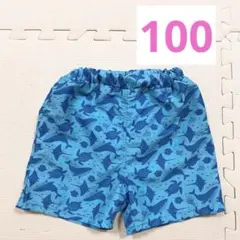 Item thumbnail for item d831f45f-aae7-4100-aabd-51fe97057f8f