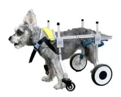 Item thumbnail for item 2c3f77ea-2b27-4e2f-a69c-33ac9fc99aa5