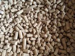 Item thumbnail for item f2eebfff-f526-484d-b71b-cad6b3f2eba9