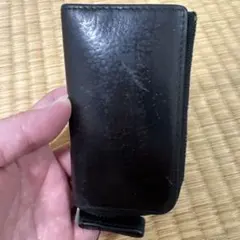 Calvin Klein Platinum ブラックキーケース