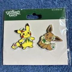 ポケパークカントー限定 ピカチュウ・イーブイ キーホルダー - メルカリ