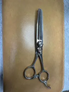 Item thumbnail for item 6374b44b-12fb-4b83-8f6f-4e926c3a3618