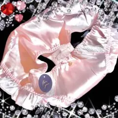 Item thumbnail for item ae1c50d2-42ca-4f17-b51c-afdd2df33b31