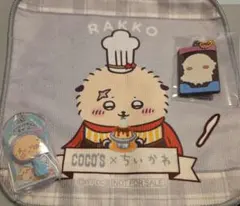 ラッコセット(ココスコラボタオル、ミニチュアチョコチャーム、キャラパキ)