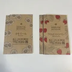 카모마일 야생 딸기 종
