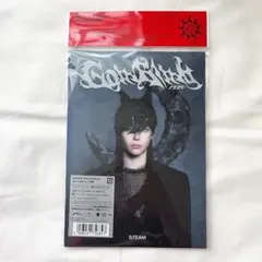 &TEAM 月狼 CD NICHOLAS ニコラス ソロ