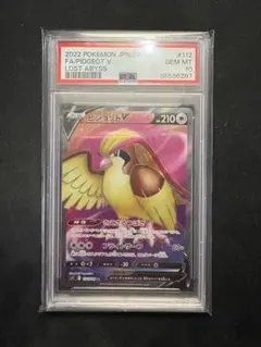 2025年最新】ピジョットv srの人気アイテム - メルカリ