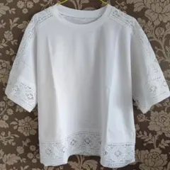 Item thumbnail for item faf4da63-5d16-4725-87c1-bd21d6efcdb3