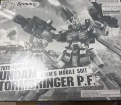 2026年最新】mg 1/100 ガンダムストームブリンガーの人気アイテム