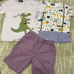 まとめ売り　クレードスコープ　カブトムシ　恐竜　アニマル　ハーフパンツ