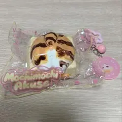 모치모치아쿠세 모치아쿠 히든 캣 스퀴즈