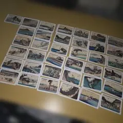 2026年最新】永谷園 カード セットの人気アイテム - メルカリ