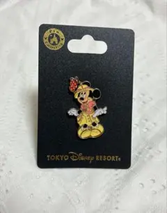 ディズニーシー トレイルミニー ピンバッジ