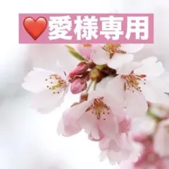 2026年最新】anfatieの人気アイテム - メルカリ