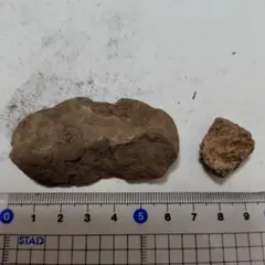 2026年最新】石器の人気アイテム - メルカリ