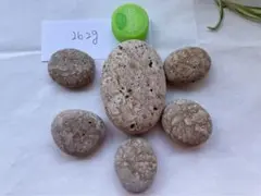 姫川薬石　糸魚川産　262gストーンセラピー