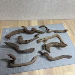 水槽用流木　8本セット　M312