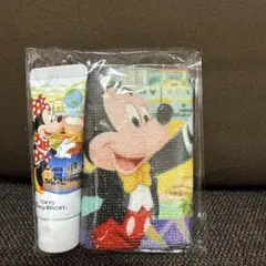 東京ディズニーリゾート タオル・ハンドクリームセット