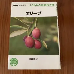 オリーブ