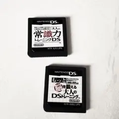 Nintendo DS 2個セット！
