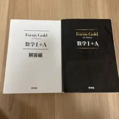 FocusGold 数学1+A 第4版