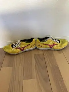 Mizuno ウェーブクルーズJapan