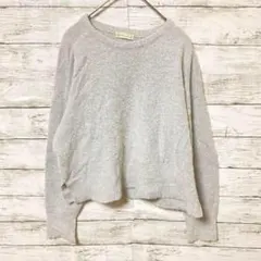 アースミュージックアンドエコロジー✨ニット【F】クルーネック　ライトグレー