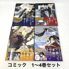2026年最新】魔道祖師 小説 全巻の人気アイテム - メルカリ