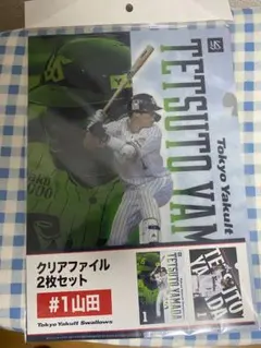 埼玉西武ライオンズ 高橋光成 ポスター柄クリアファイル プロ野球 2022