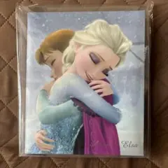 【新品未開封】デルフィーノ ディズニー アナと雪の女王 リボン付アルバム