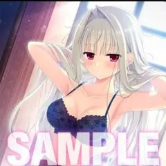 最終値下げ　[未開封]シャルル・マロース 　B2夕ペストリー