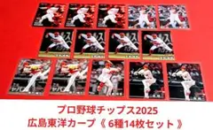 【 美品 】プロ野球チップス 2025 広島東洋カープ 《６種14枚セット》