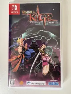 Switch 闇の仕事人KAGE Shadow of The Ninja
