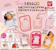【定価】たまひよ だれでもアクリルチャーム 初めてのたまごクラブ 7個