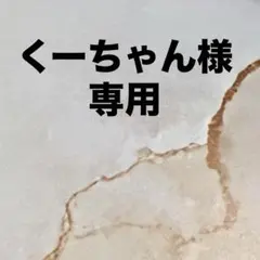 くーちゃん様専用