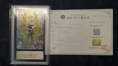ARS10+鑑定書付き】ドラゴンボールダイバーズ SDVTB-006 ベジット