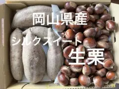 岡山県産　産地直送　さつまいも　シルクスイート　生栗　コンパクト箱