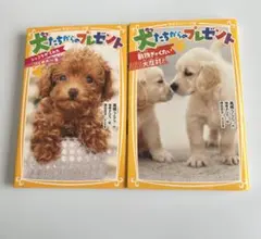 Item thumbnail for item 11c49c67-8758-4460-a8bd-67b9ffa3430c