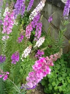 ゆみこ様 リクエスト 2点 まとめ商品