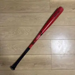 Item thumbnail for item 636ab8bf-f3b3-4f99-83dc-500460e8556e