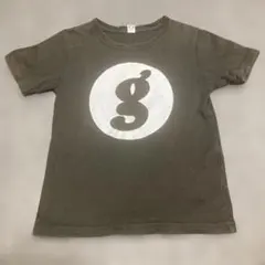 【бездомная кошка様 】goodenough GOODENOUGH Fall migrant spotlight: Snow goose | Birds of New England.com